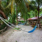 9. Centro Holistico - Hammocks, Coconuts, Stingless Bee Sanctuary