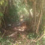 a9cb10de-f6eb-4092-9be7-af7a6c0b333c